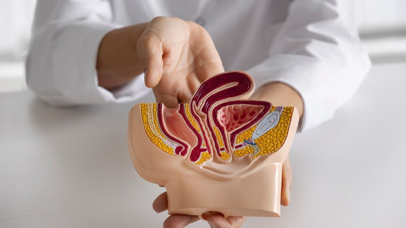 What Is Primary Hypogonadism?