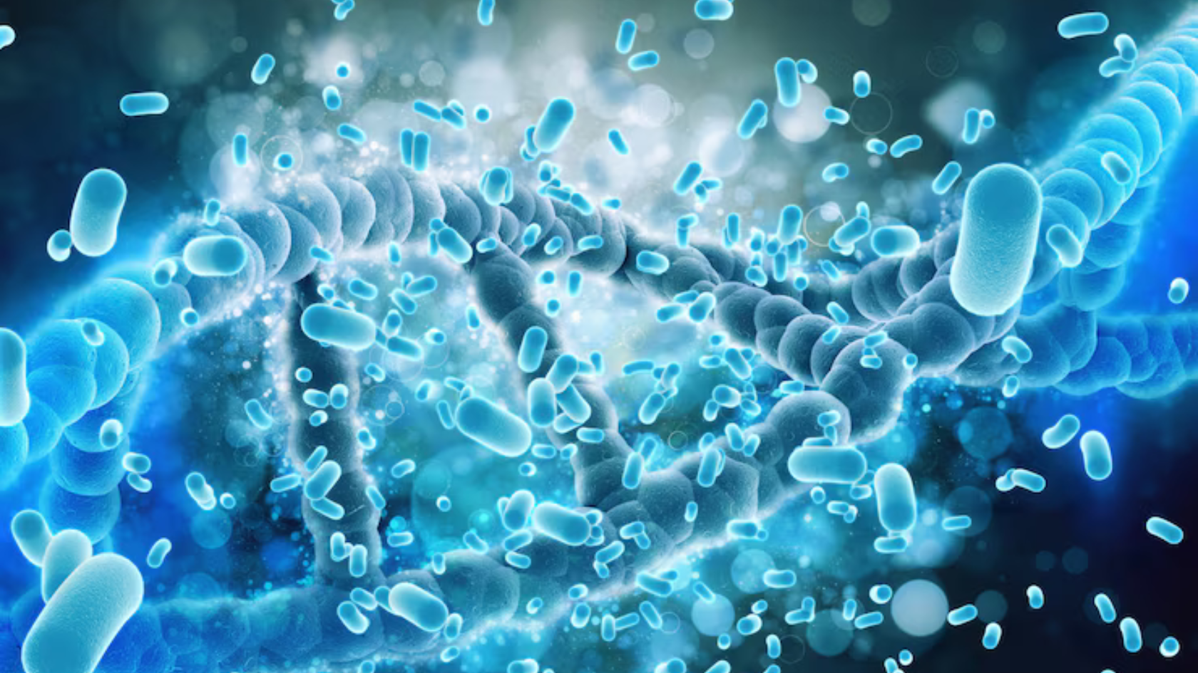 What Are Androgen Receptors