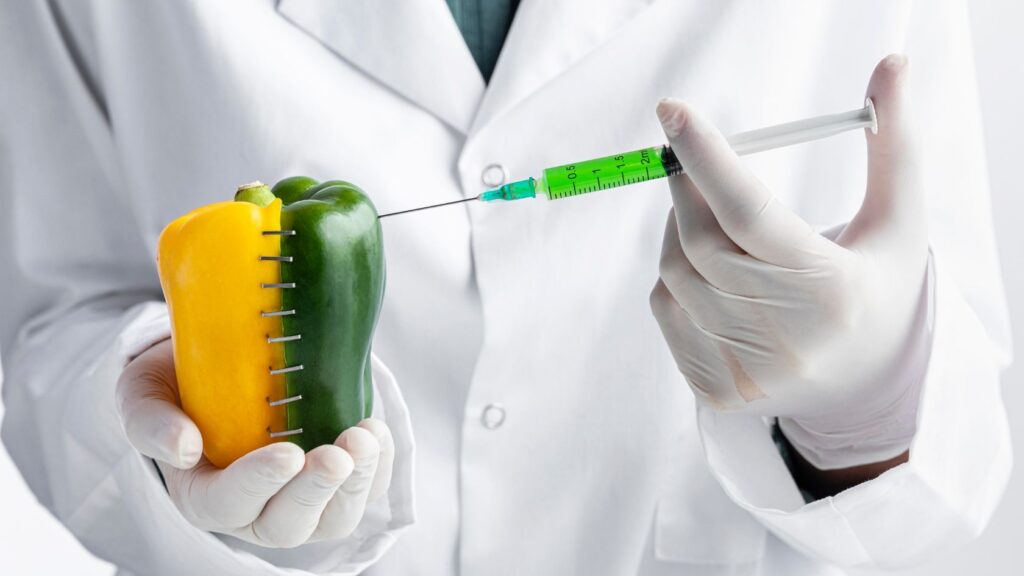 What is Total Parenteral Nutrition